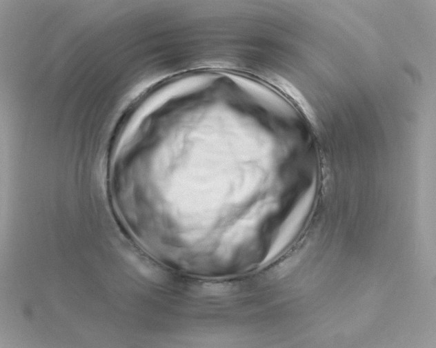 X0000115501035200911271405