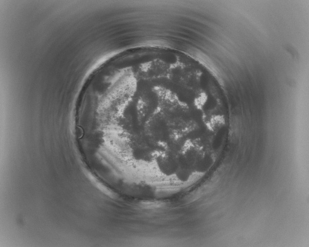 X0000115501037200911271405