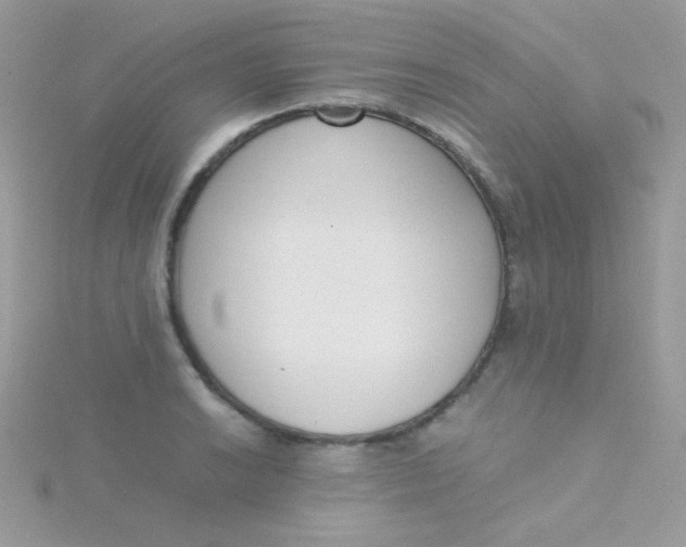 X0000115501038200911271405