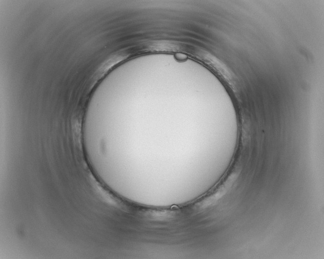 X0000115501041200911271405