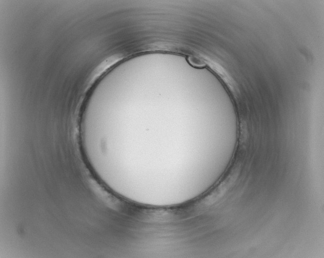 X0000115501042200911271405