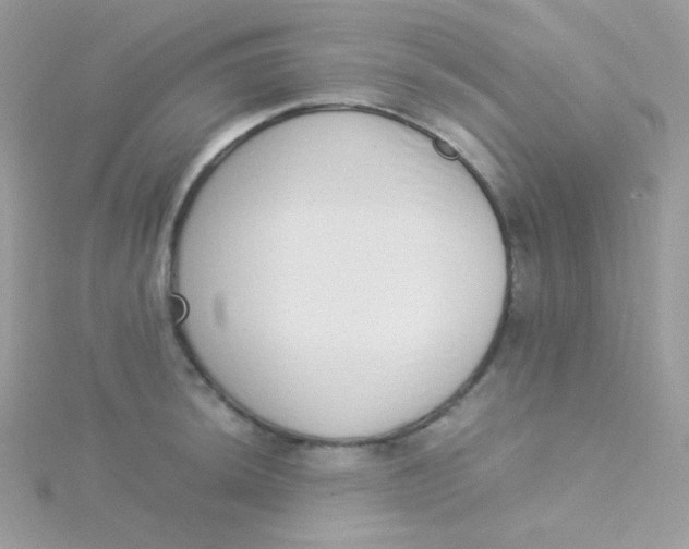 X0000115501044200911271405