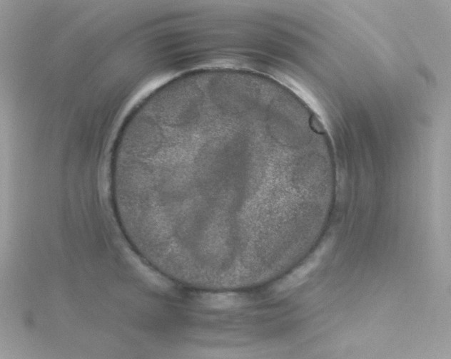 X0000115501045200911271406