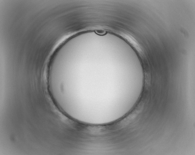 X0000115501046200911271406