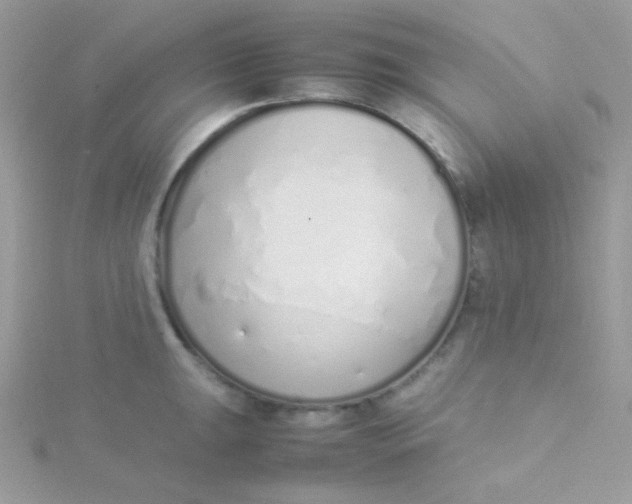 X0000115501047200911271406