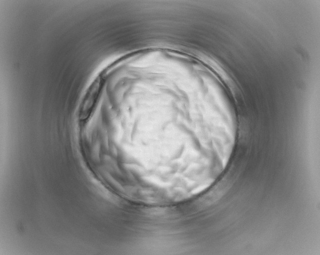 X0000115501048200911271406