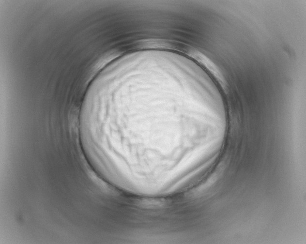 X0000115501049200911271406