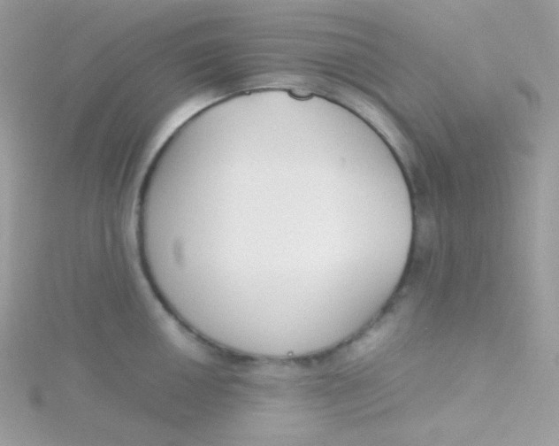 X0000115501050200911271406