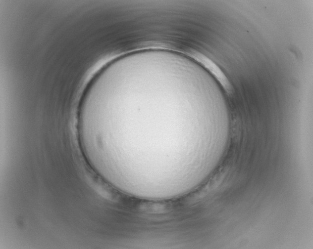 X0000115501051200911271406