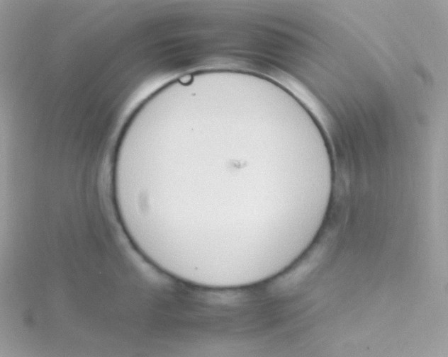 X0000115501053200911271406