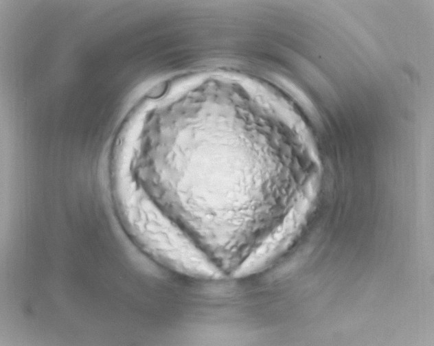 X0000115501055200911271406