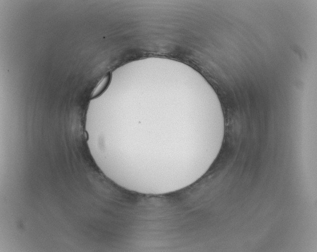 X0000115501058200911271405