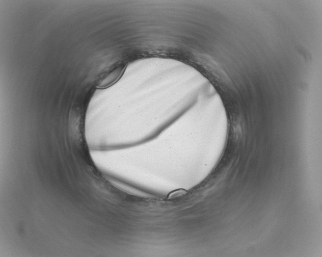 X0000115501060200911271405