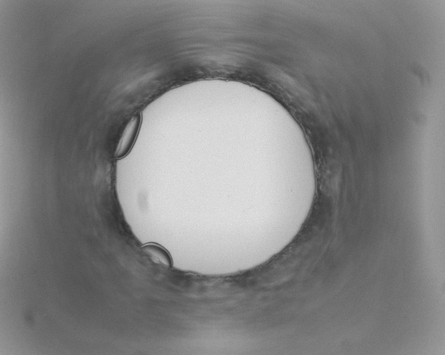 X0000115501061200911271405