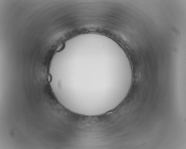 X0000115501062200911271405