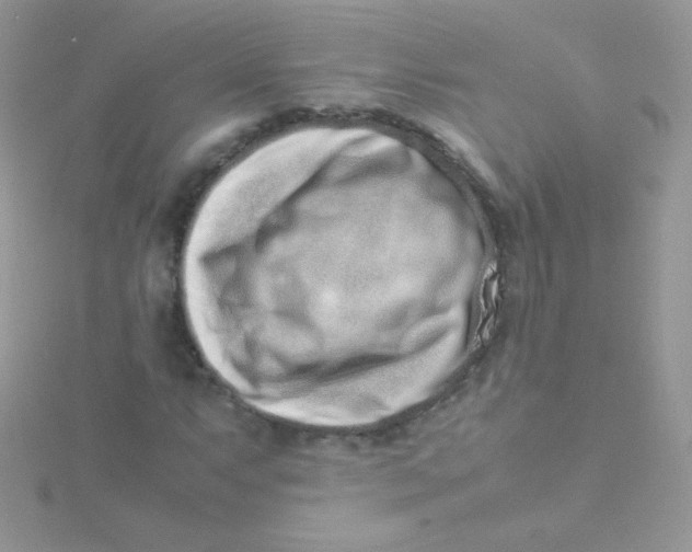 X0000115501063200911271405