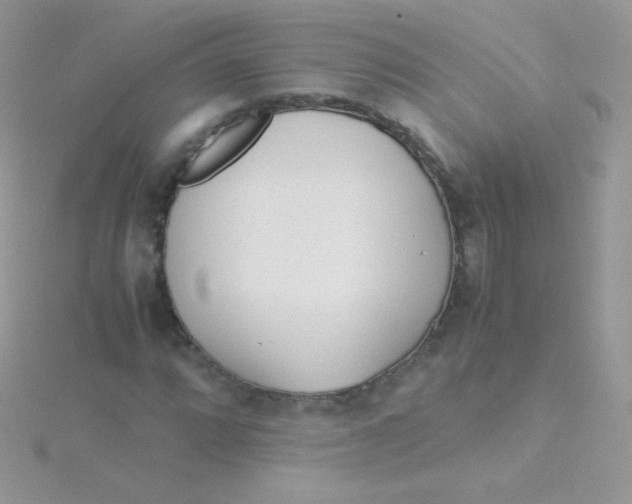 X0000115501064200911271405