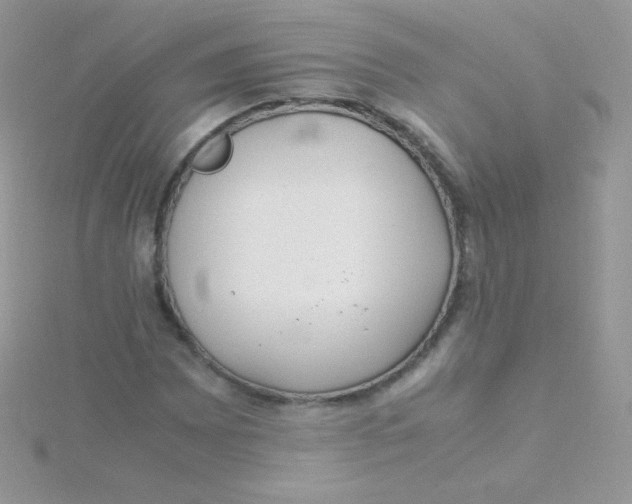 X0000115501065200911271405