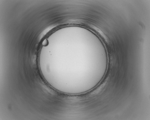 X0000115501066200911271405