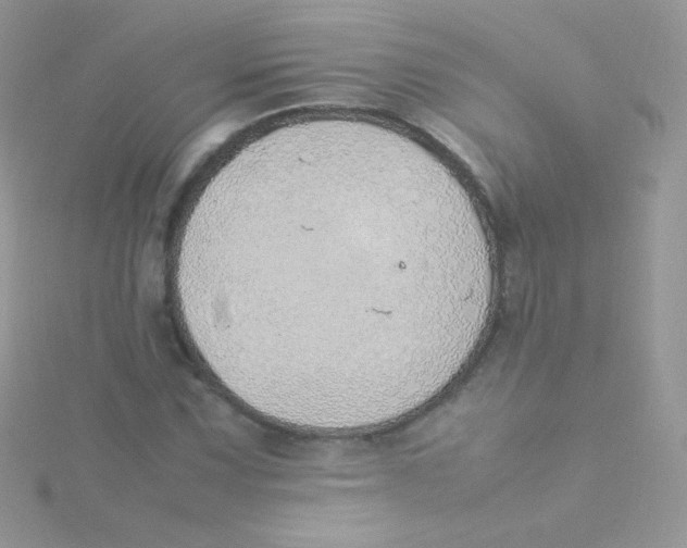 X0000115501067200911271405