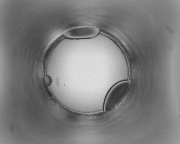 X0000115501069200911271405