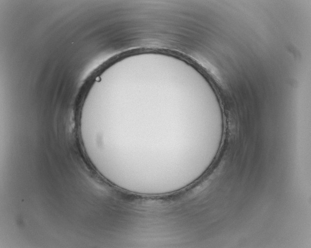 X0000115501070200911271405