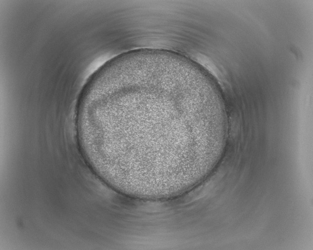 X0000115501071200911271405