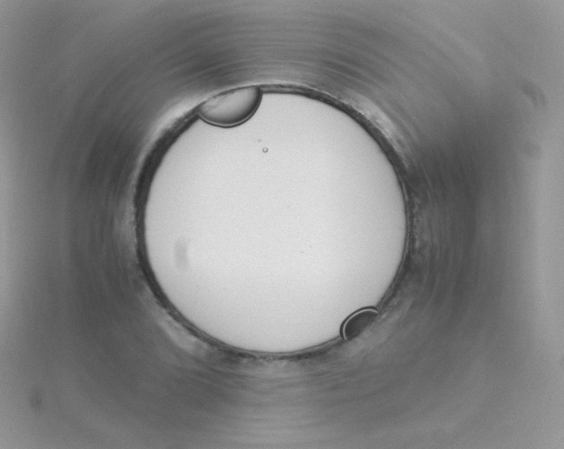 X0000115501072200911271405