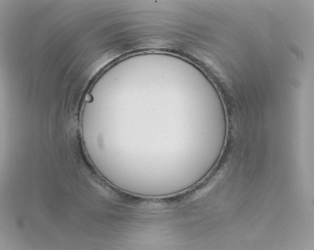 X0000115501073200911271405