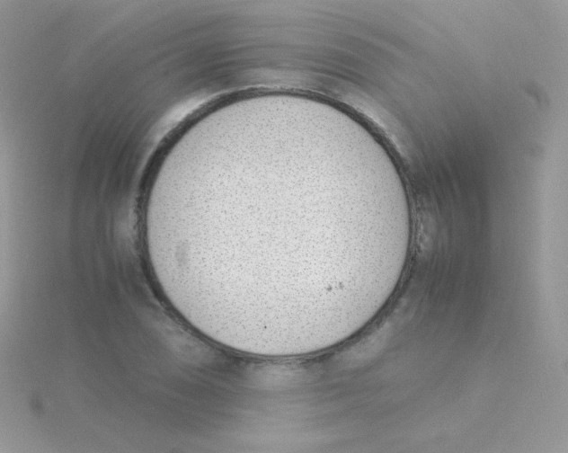 X0000115501074200911271405