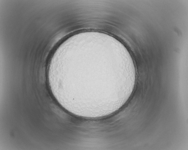 X0000115501075200911271405