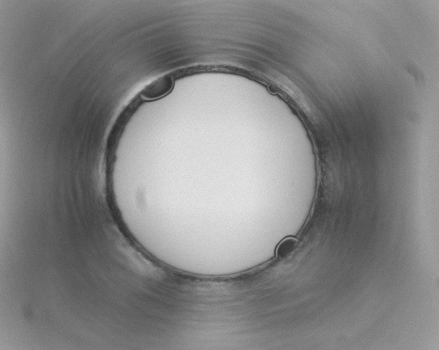 X0000115501076200911271405