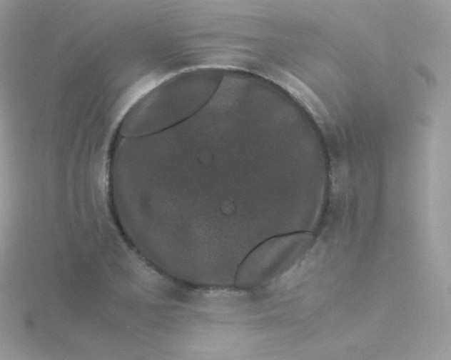 X0000115501077200911271405