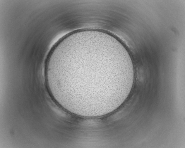 X0000115501078200911271405