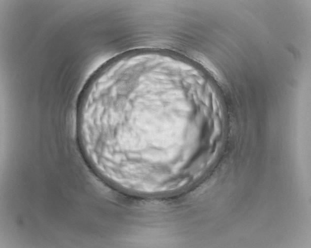 X0000115501079200911271405