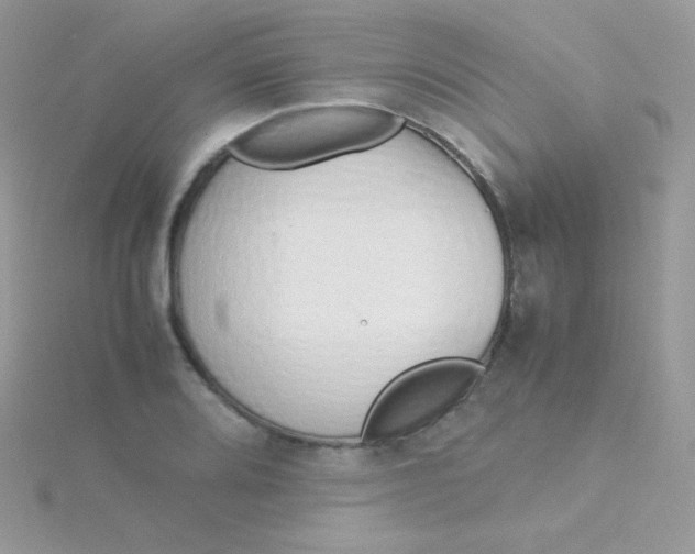 X0000115501080200911271405