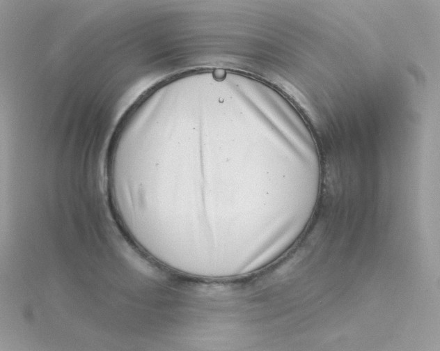 X0000115501082200911271405