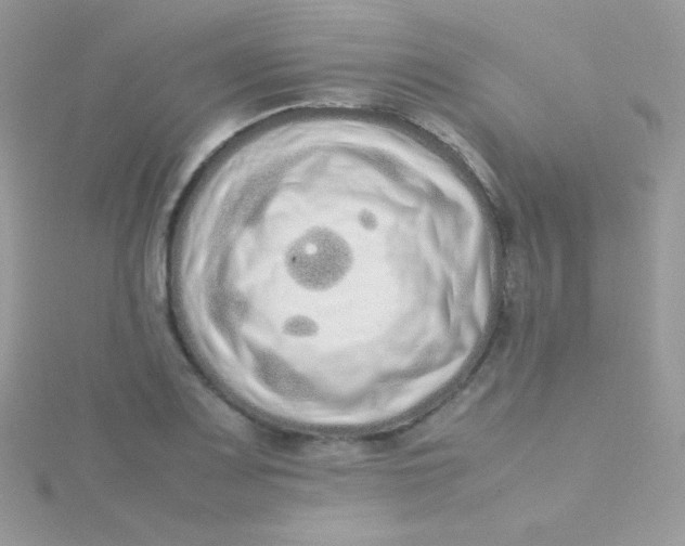 X0000115501083200911271405