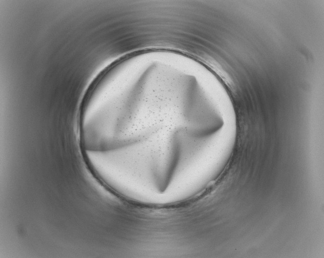 X0000115501084200911271405