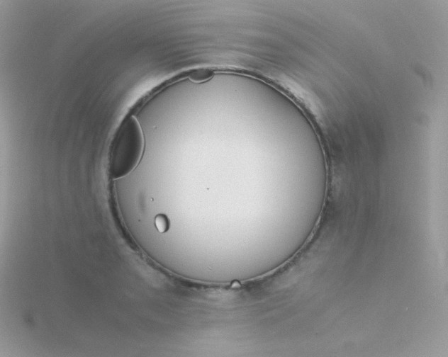 X0000115501085200911271405