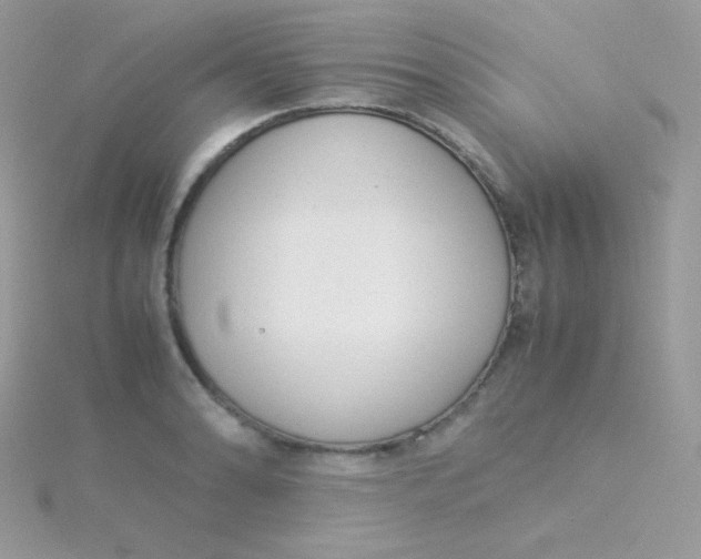 X0000115501086200911271405