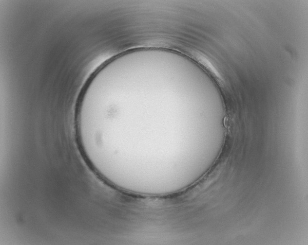 X0000115501087200911271405