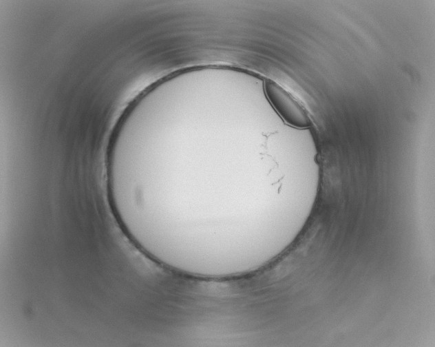 X0000115501088200911271405