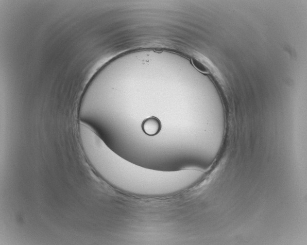 X0000115501089200911271405