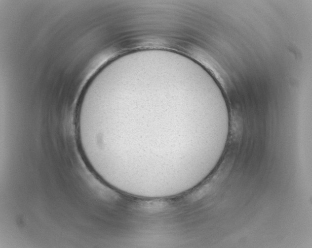 X0000115501090200911271405