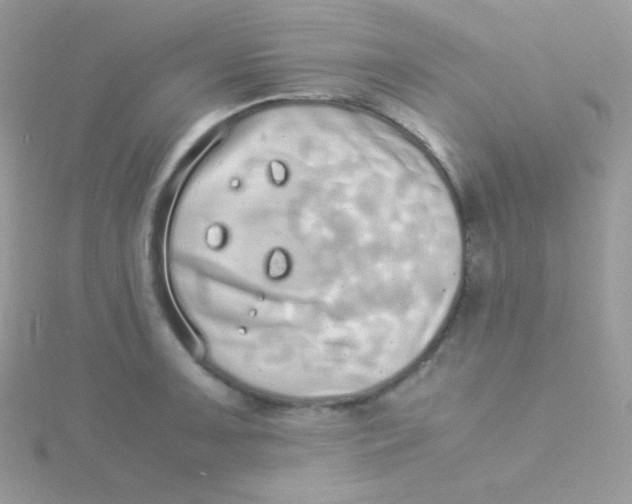 X0000115501091200911271404