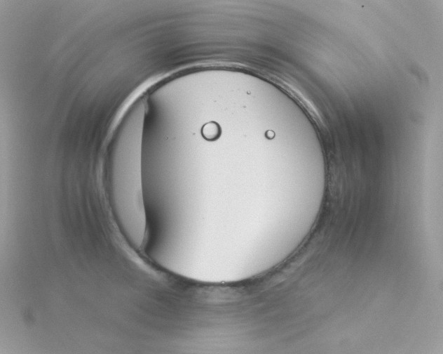 X0000115501092200911271404