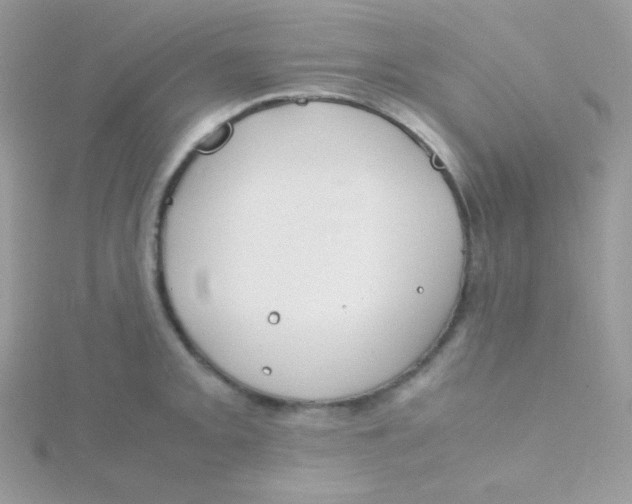 X0000115501093200911271404