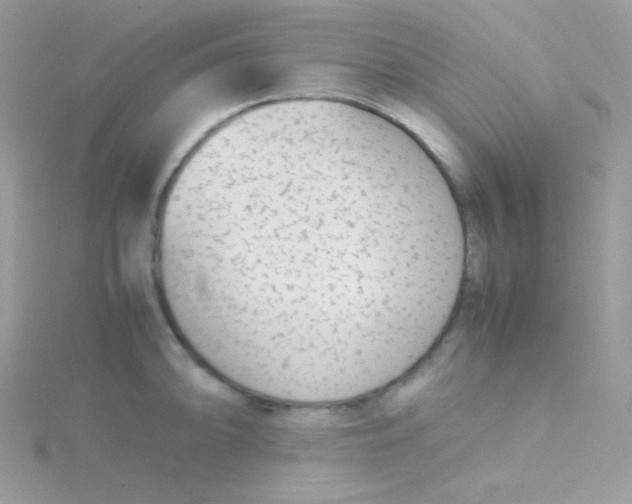 X0000115501094200911271404