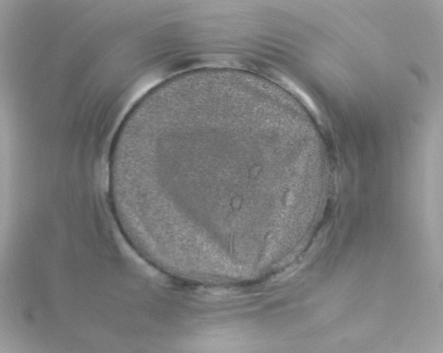 X0000115501095200911271404